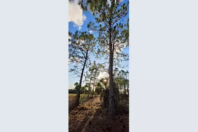 17923 NW 298 St, Okeechobee, FL 34972 - Photo 10