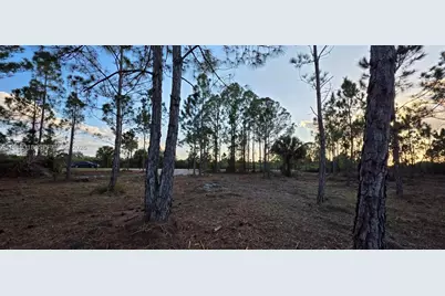 17975 NW 298 St, Okeechobee, FL 34972 - Photo 8