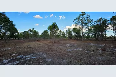 17975 NW 298 St, Okeechobee, FL 34972 - Photo 6