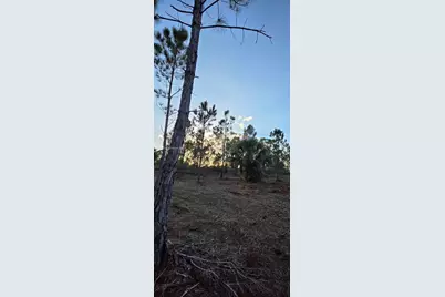 17975 NW 298 St, Okeechobee, FL 34972 - Photo 14