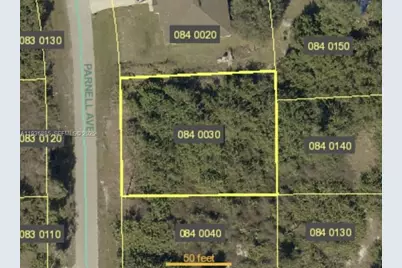 423 Parnell Ave, Lehigh Acres, FL 33974 - Photo 1