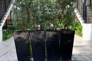 1330 Pennsylvania Ave, Miami Beach, FL 33139 - Photo 4