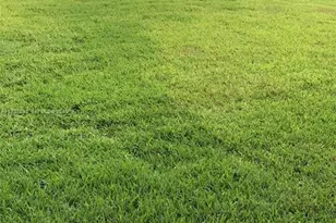 3149 Poinciana St, Lauderdale Lakes, FL 33311 - Photo 4