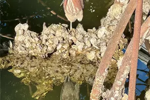 3600 Mystic Pointe Dr, Aventura, FL 33180 - Photo 36