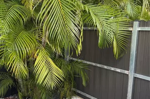 4171 SW 99th Ct, Miami, FL 33165 - Photo 6