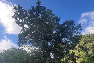 17540 SW 254th St, Homestead, FL 33031 - Photo 58