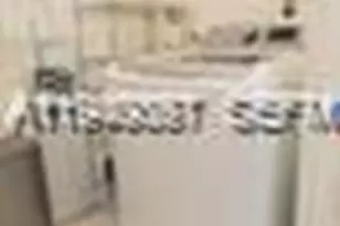 12800 SW 43rd Dr, Miami, FL 33175 - Photo 12