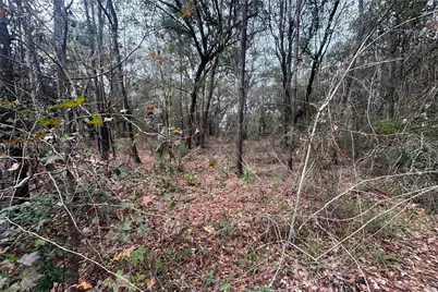 0 Landward, Other City - In The State Of Florida, FL 32068 - Photo 4