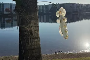 6301 NW 109th Ave, Doral, FL 33178 - Photo 20