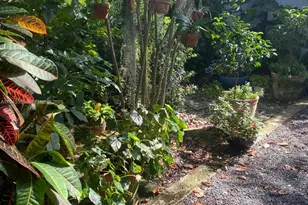 1321 Asturia Ave, Coral Gables, FL 33134 - Photo 14