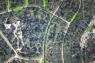 1230 Dogwood, Lake Placid, FL 33852 - Photo 2