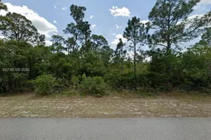 832 Durmon Ave, Lake Placid, FL 33852 - Photo 1