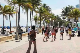 1425 Grant St, Hollywood, FL 33020 - Photo 26