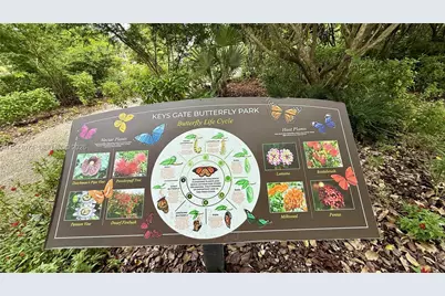 2617 SE 27th Dr #0, Homestead, FL 33035 - Photo 32