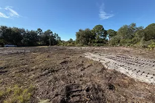 1171 E Barfield St, Lehigh Acres, FL 33974 - Photo 1