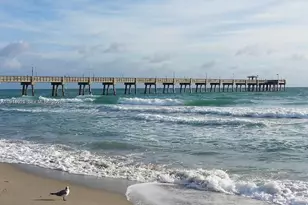 1702 McKinley St, Hollywood, FL 33020 - Photo 12