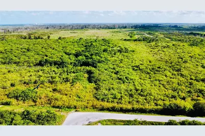 Xxx SW 304th St/Kings Hwy, Homestead, FL 33033 - Photo 2