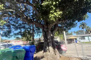 [Address not provided], Miami, FL 33142 - Photo 4