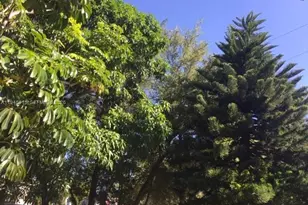 18202 NE 25th Pl, North Miami Beach, FL 33160 - Photo 16