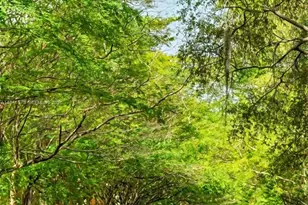 235 Antilla Ave, Coral Gables, FL 33134 - Photo 22