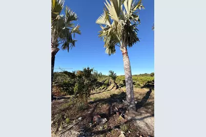 287Xx SW 107 Ave, Unincorporated Dade County, FL 33033 - Photo 16