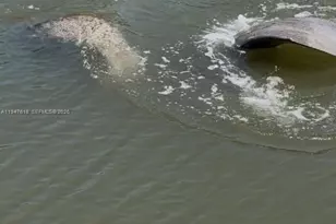 11 Flamingo Rd, Key Largo, FL 33037 - Photo 36