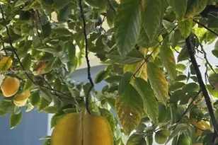 5502 SW 162nd Pl, Miami, FL 33185 - Photo 20