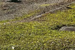 4548 SW 33rd Ave, Dania Beach, FL 33312 - Photo 50