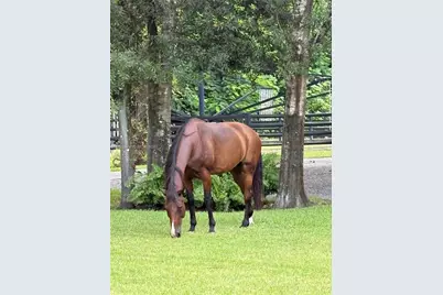 [Address not provided], Loxahatchee, FL 33470 - Photo 24