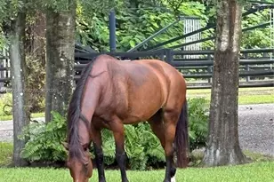 [Address not provided], Loxahatchee, FL 33470 - Photo 24