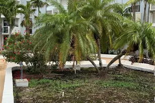 13499 Biscayne Blvd, North Miami, FL 33181 - Photo 4