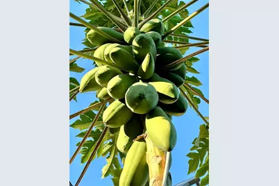 11117 SW 122nd Ct, Miami, FL 33186 - Photo 28