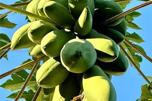 11117 SW 122nd Ct, Miami, FL 33186 - Photo 28