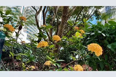 79 SW 12th St #3603-S, Miami, FL 33130 - Photo 20