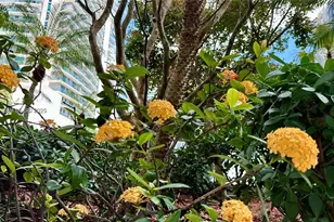 79 SW 12th St, Miami, FL 33130 - Photo 20