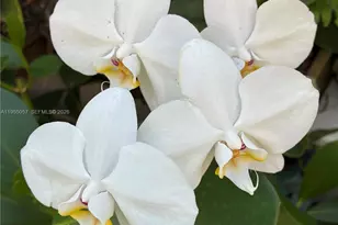 8144 SW 86th Terrace, Miami, FL 33143 - Photo 16