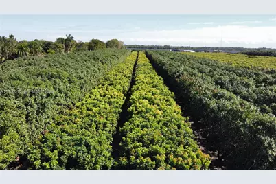 22020 SW 207th Ave, Miami, FL 33170 - Photo 24