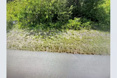 220 Lausanne Ave, Lehigh Acres, FL 33974 - Photo 2