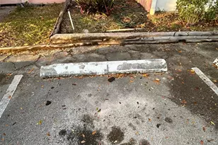 815 SW 30th St, Fort Lauderdale, FL 33315 - Photo 68