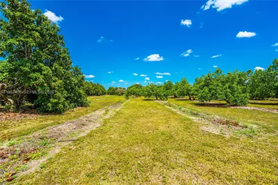 254Xx SW 217Ave, Homestead, FL 33031 - Photo 8