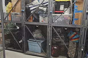 2029 N Ocean Blvd, Fort Lauderdale, FL 33305 - Photo 32