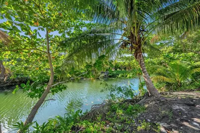 7132 SW 65th Ave, South Miami, FL 33143 - Photo 14