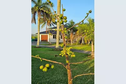 20520 SW 190th St, Miami, FL 33187 - Photo 42