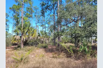 7620 19th Pl Wheeler, Labelle, FL 33935 - Photo 1