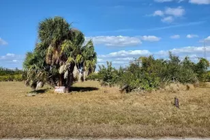 14300 Pilotfish Ct, Port Charlotte, FL 33946 - Photo 1
