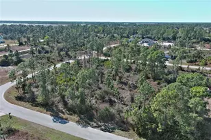 1053 Fayette Ave, Lehigh Acres, FL 33974 - Photo 4