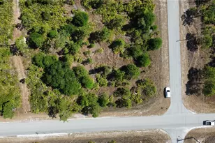 3007 East 10th Street, Lehigh Acres, FL 33972 - Photo 2