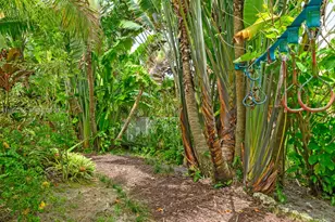 4209 Pinewood Ln, Weston, FL 33331 - Photo 62