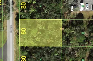 1412 Spear St, Port Charlotte, FL 33948 - Photo 1