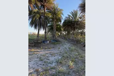 17450 SW 208th St, Miami, FL 33187 - Photo 6